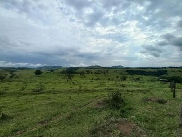 Fazenda para venda em Centro, Santo Antônio do Amparo