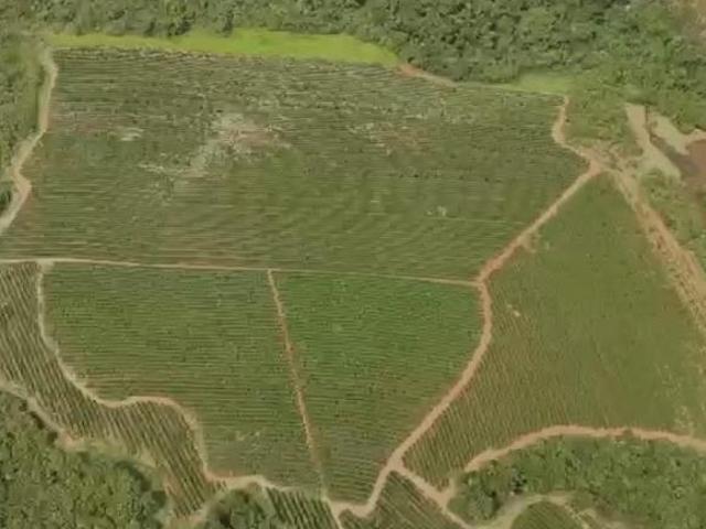 Fazenda para venda em Centro, Santo Antônio do Amparo