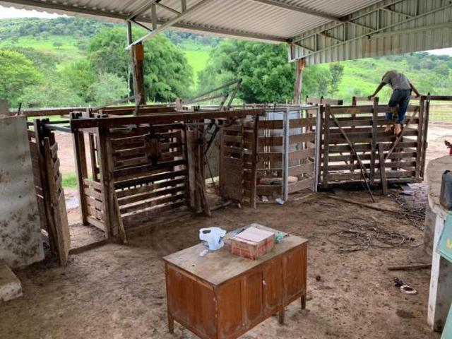 Fazenda para venda em Centro, Santo Antônio do Amparo