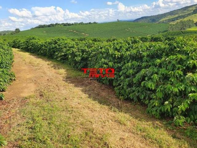 Fazenda para venda em Centro, Santo Antônio do Amparo