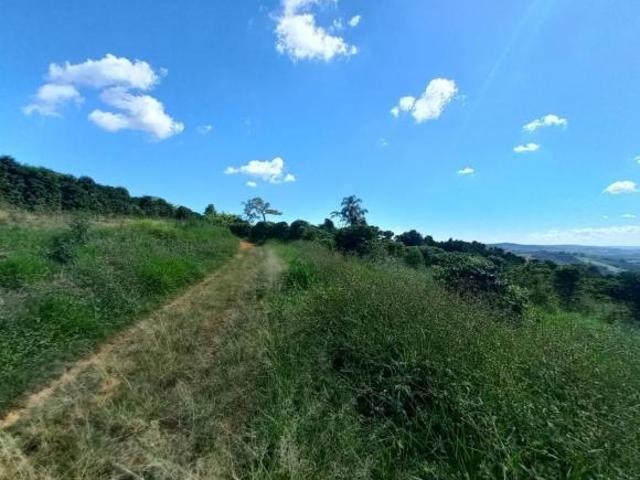 Fazenda para venda em Centro, Santo Antônio do Amparo