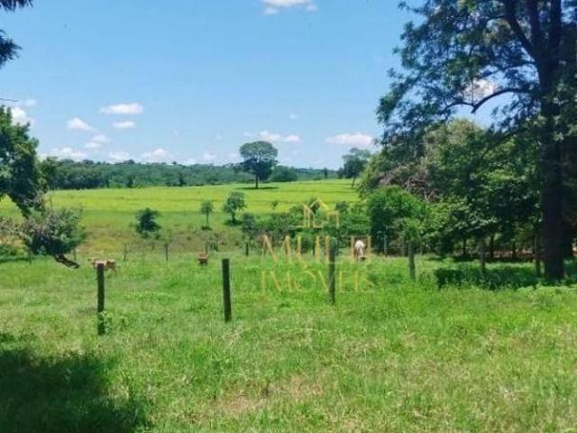 Fazenda para venda em Centro, Santo Antônio do Aracanguá