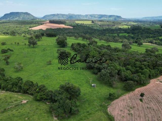 Fazenda para venda em Centro, Santo Antônio da Alegria