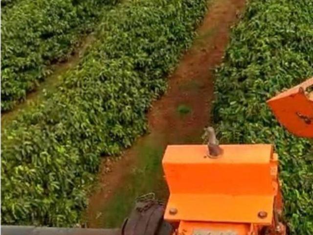 Fazenda para venda em Centro, Santo Antônio da Platina