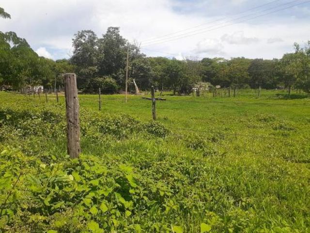 Fazenda para venda em Centro, Santo Hipólito