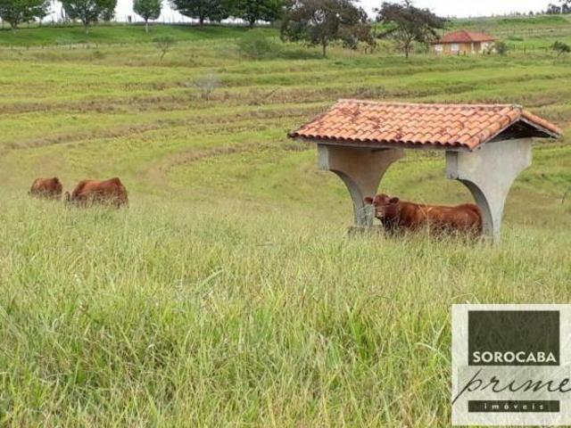 Fazenda para venda em Centro, Sarapuí