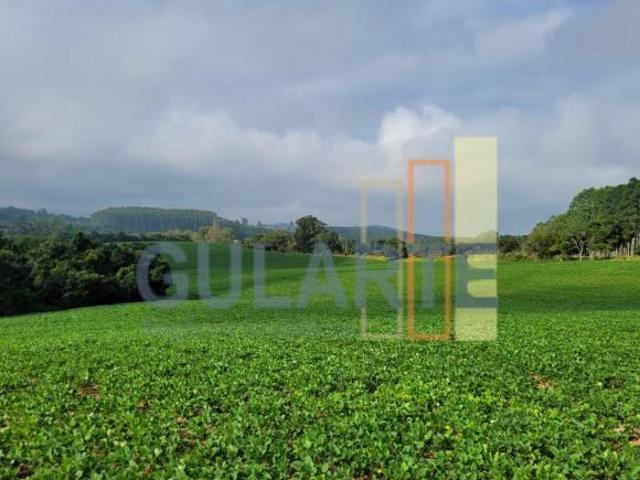 Fazenda para venda em Centro, Sentinela do Sul