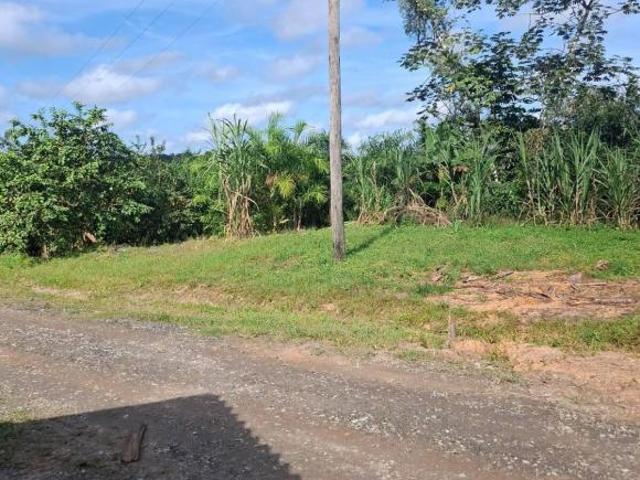 Fazenda para venda em Centro, Sete Barras