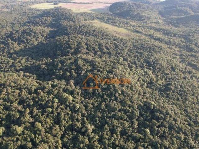 Fazenda para venda em Centro, Sete Barras