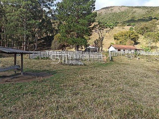 Fazenda para venda em Centro, Silveiras