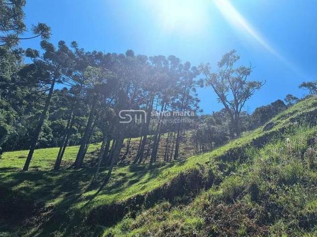 Fazenda para venda em Centro, Silveiras