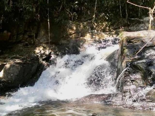 Fazenda para venda em Centro, Silveiras