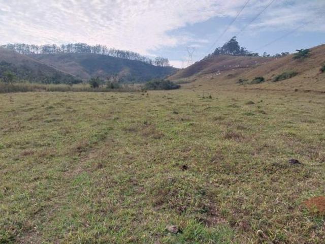 Fazenda para venda em Centro, Silveiras