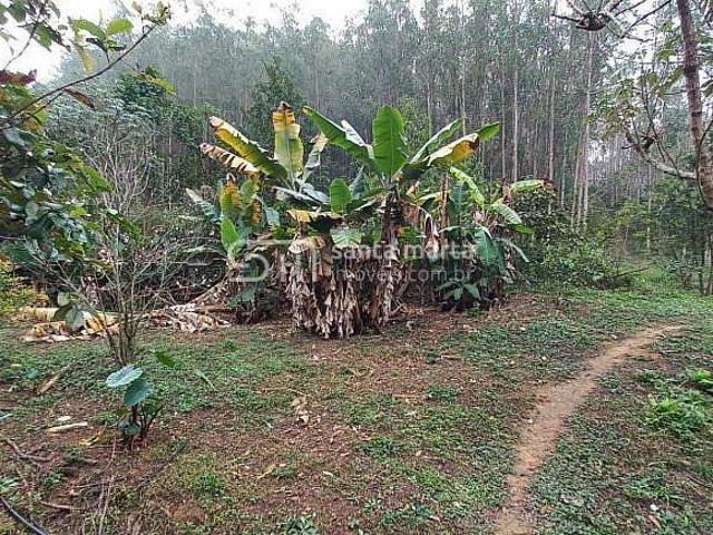 Fazenda para venda em Centro, Silveiras