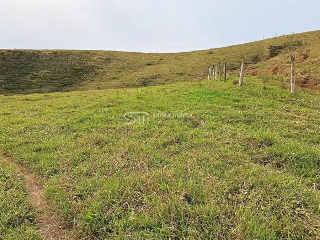Fazenda para venda em Centro, Silveiras