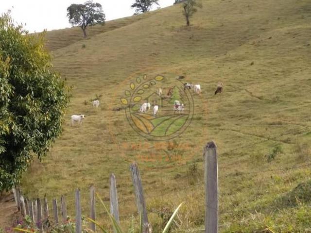 Fazenda para venda em Centro, Silveiras