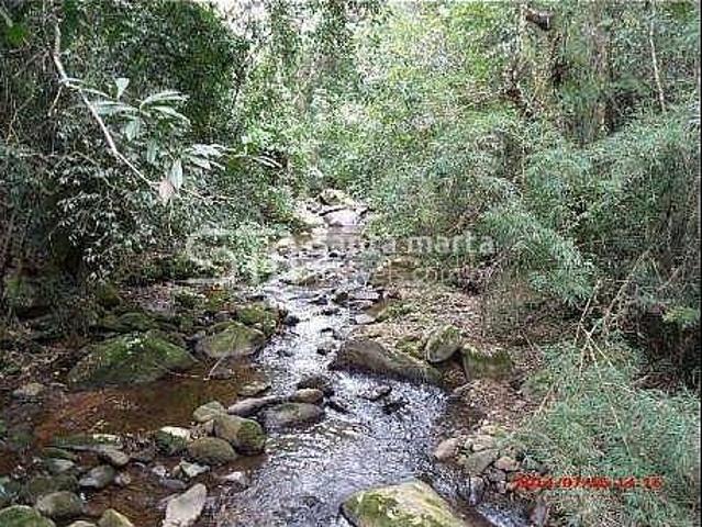Fazenda para venda em Centro, Silveiras