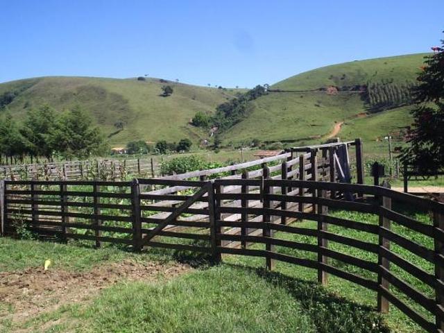 Fazenda para venda em Centro, Silveiras