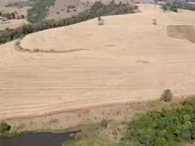 Fazenda para venda em Centro, Silvianópolis