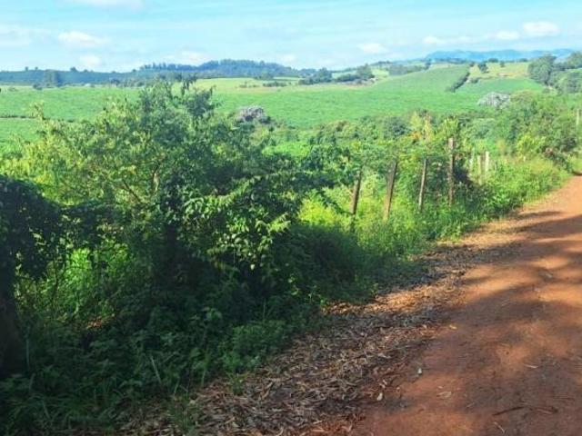 Fazenda para venda em Centro, Silvianópolis