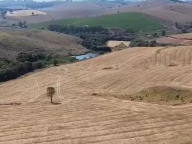 Fazenda para venda em Centro, Silvianópolis