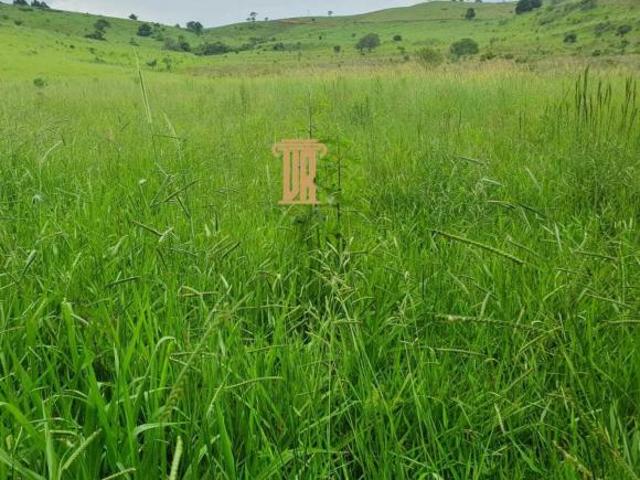 Fazenda para venda em Centro, Soledade de Minas