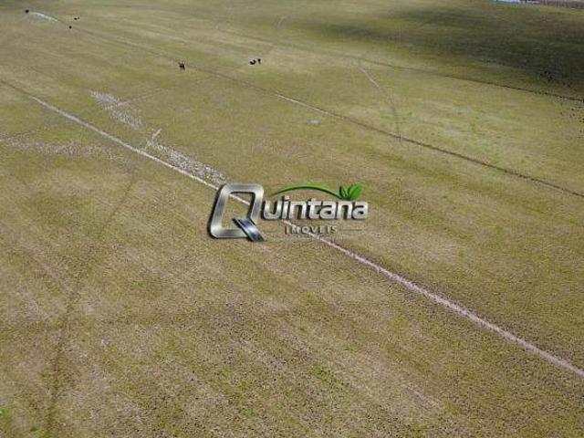 Fazenda para venda em Centro, Turuçu