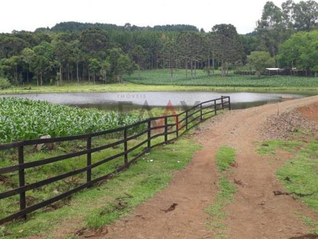 Fazenda para venda em Centro, Turvo