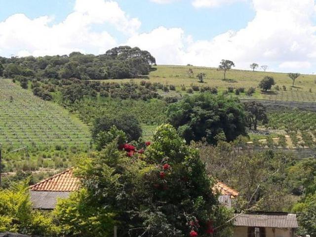 Fazenda para venda em Centro, Turvolândia