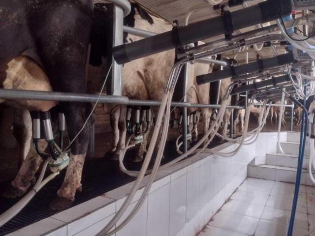 Fazenda para venda em Centro, Turvolândia