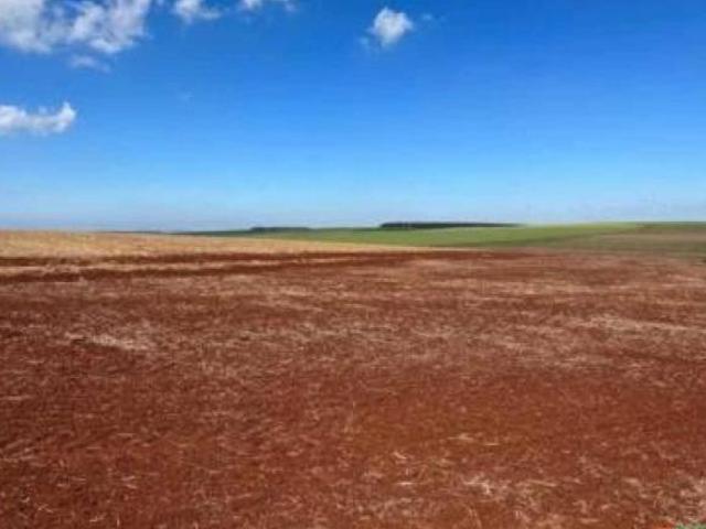 Fazenda para venda em Centro, Tamarana