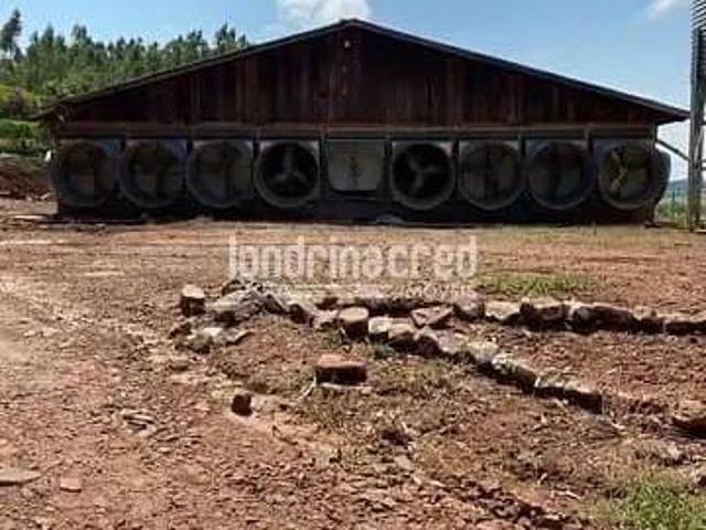 Fazenda para venda em Centro, Tamarana