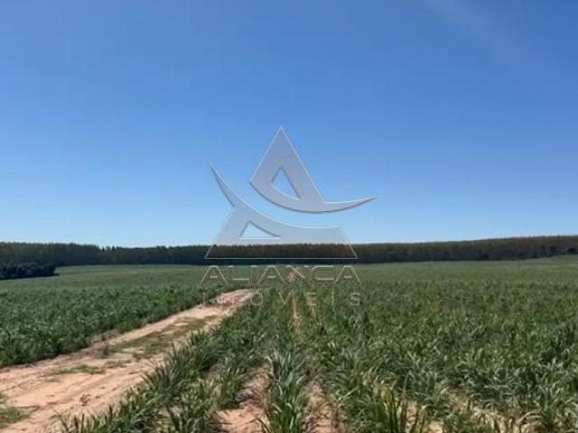 Fazenda para venda em Centro, Tambaú