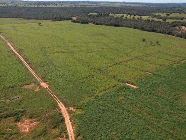 Fazenda para venda em Centro, Tesouro