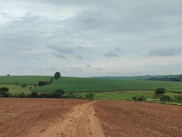 Fazenda para venda em Centro, Tietê