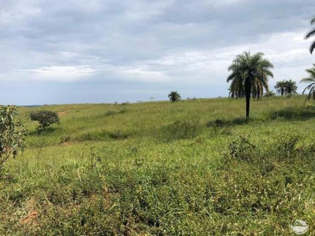Fazenda para venda em Centro, Tiros