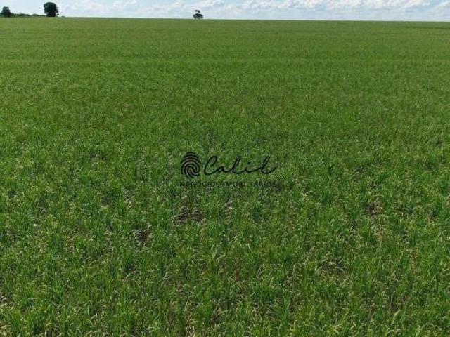 Fazenda para venda em Centro, Torrinha
