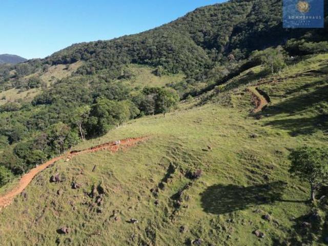 Fazenda para venda em Centro, Três Cachoeiras