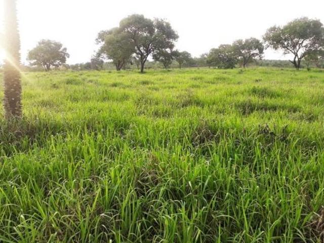 Fazenda para venda em Centro, Três Marias