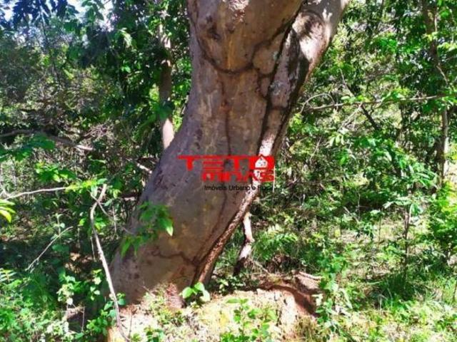 Fazenda para venda em Centro, Três Marias