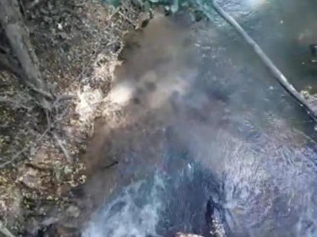 Fazenda para venda em Centro, Três Marias