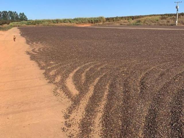 Fazenda para venda em Centro, Unaí