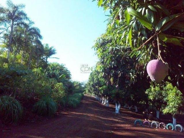 Fazenda para venda em Centro, Uraí