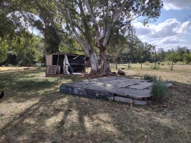 Fazenda para venda em Centro, Uruguaiana