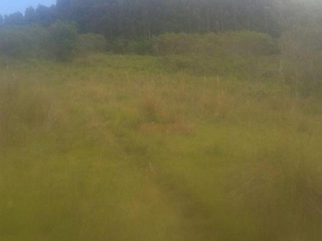 Fazenda para venda em Centro, Uruguaiana