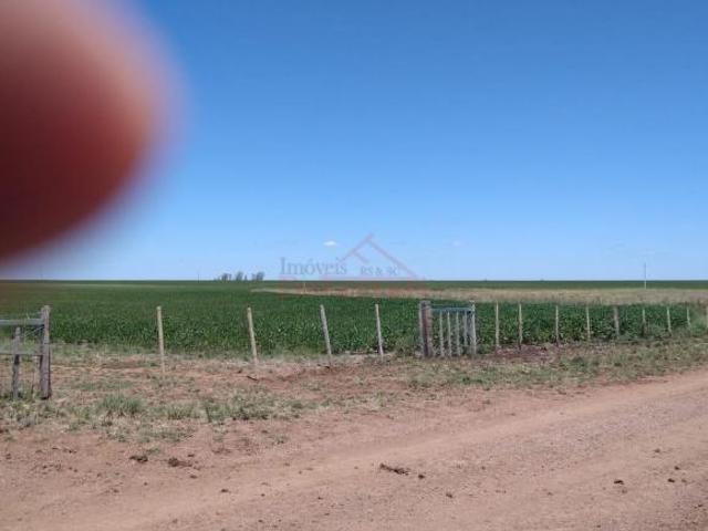 Fazenda para venda em Centro, Uruguaiana