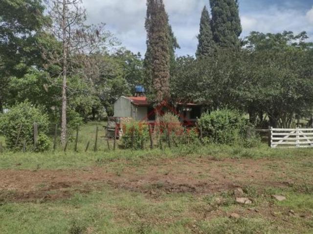 Fazenda para venda em Centro, Uruguaiana