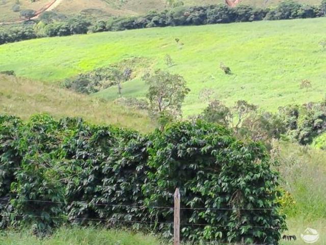 Fazenda para venda em Centro, Vargem Bonita
