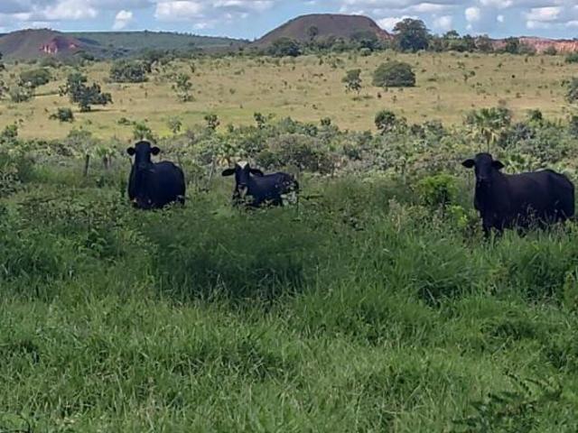 Fazenda para venda em Centro, Varjão de Minas