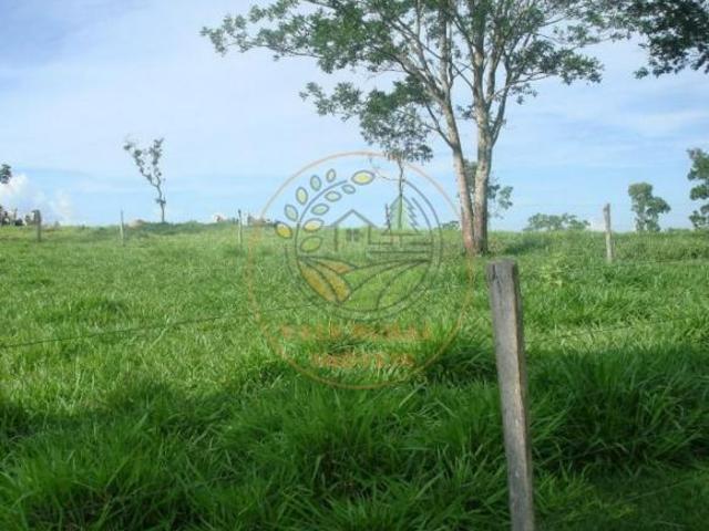 Fazenda para venda em Centro, Vazante